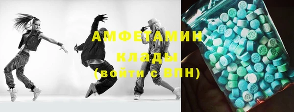 гидра Богданович