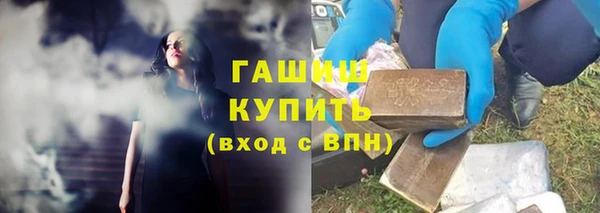 гидра Богданович