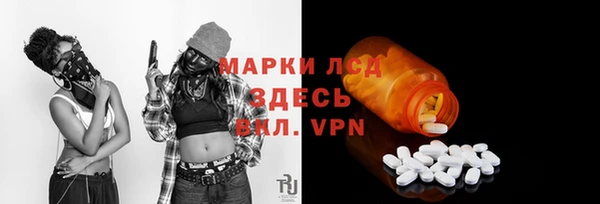 гидра Богданович
