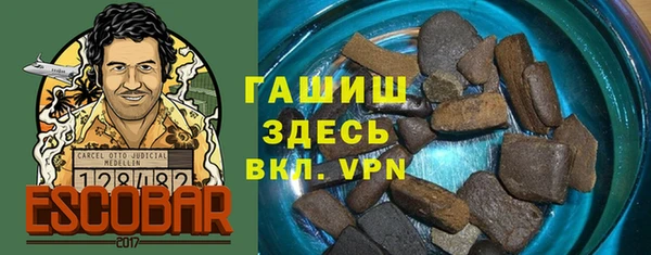 гидра Богданович