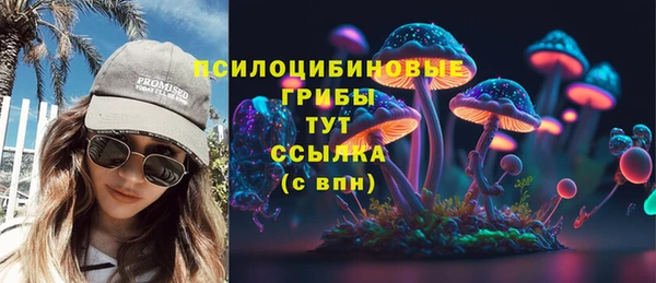 винт Бронницы